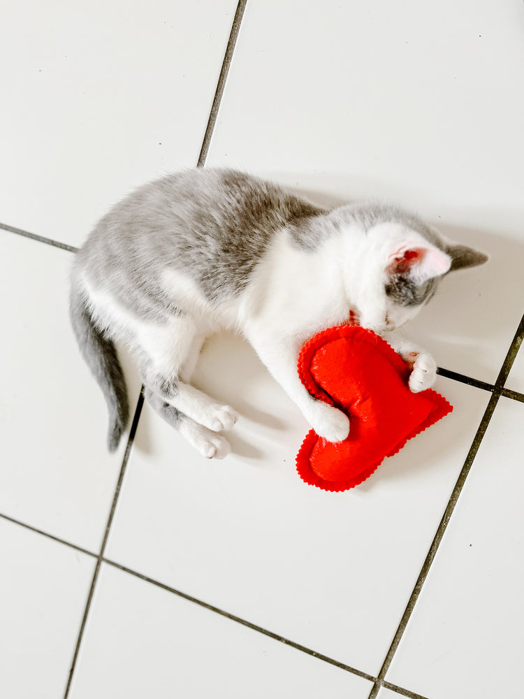 Heart Shaped Cat Toy Filled with Polyfil & Organic Catnip for Your Beloved Pet